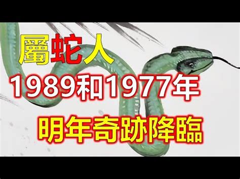 1989 蛇 五行|1989属蛇的五行 1989年属蛇蛇是什么命